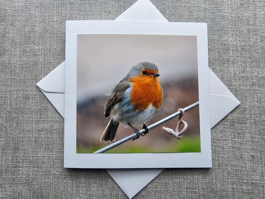 Winter Robin Large Square  Photographic Card 6" x 6" (15cm x 15cm)