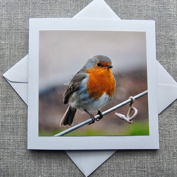 Winter Robin Large Square  Photographic Card 6" x 6" (15cm x 15cm)