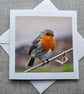 Winter Robin Large Square  Photographic Card 6" x 6" (15cm x 15cm) - Image 1