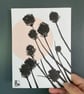 Garden Chives, shadow painting, original artwork, signed