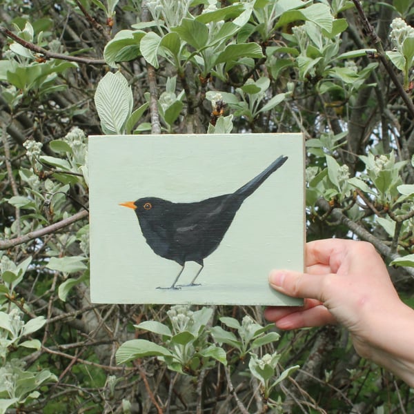 Blackbird - original acrylic painting