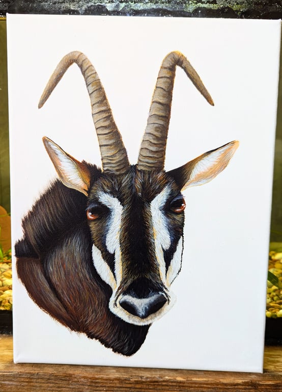 Giant Sable Antelope - Endangered Species Charity Painting