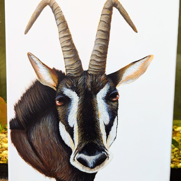 Giant Sable Antelope - Endangered Species Charity Painting