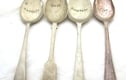 Plant Label Spoons
