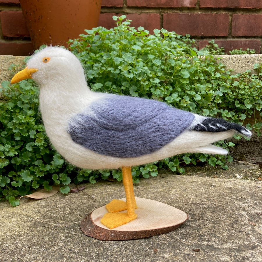 Seagull sculpture, needle felted woollen model