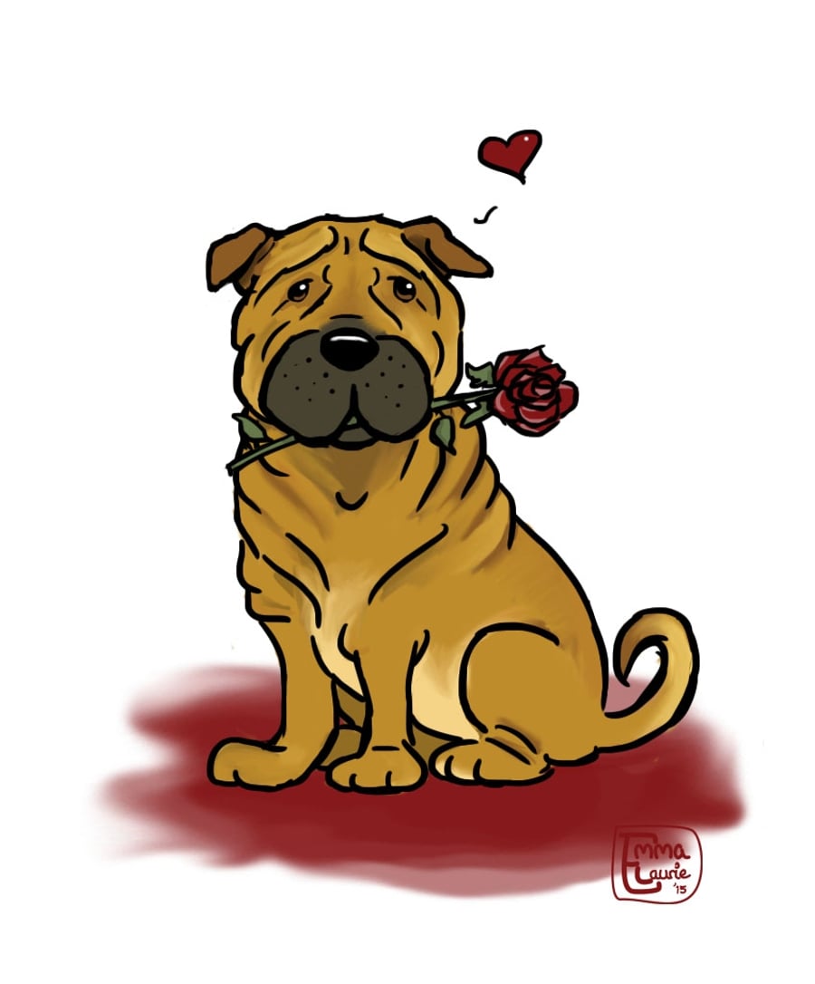 Shar Pei Rose card