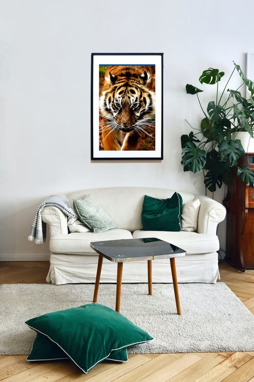 An Amur tiger looking straight at you - Yikes!
