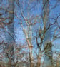 'Winter Day, Cefn Gorwydd' - Image 3
