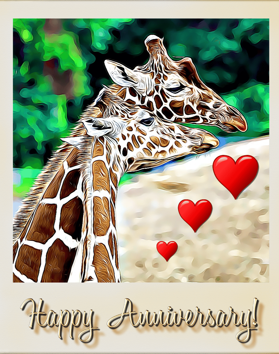 Happy Anniversary Giraffes Card A5