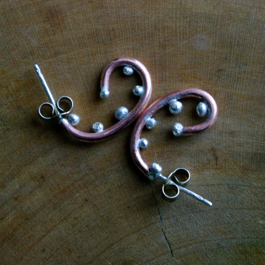 Copper Fern Fronds Earrings