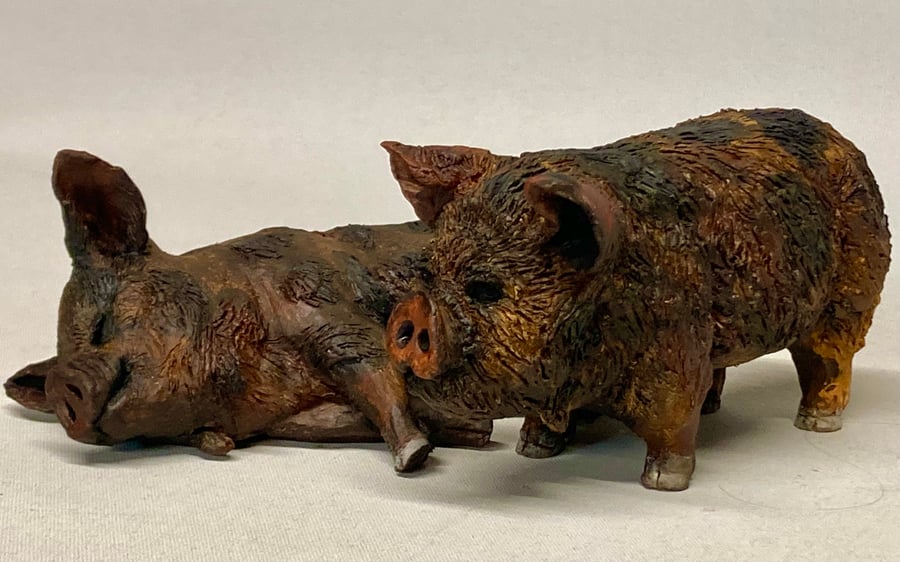 Ceramic Pigs - a pair of Kune Kune Pigs 