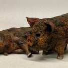 Ceramic Pigs - a pair of Kune Kune Pigs 