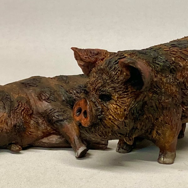 Ceramic Pigs - a pair of Kune Kune Pigs 