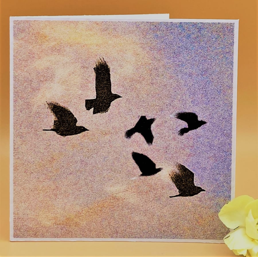Birds flying in a Pearl Pink Evening sky, Blank greetings card no message. 