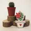 Pottery Cactus Ceramic hanging decoration. Illustrated Cactus pottery decoration