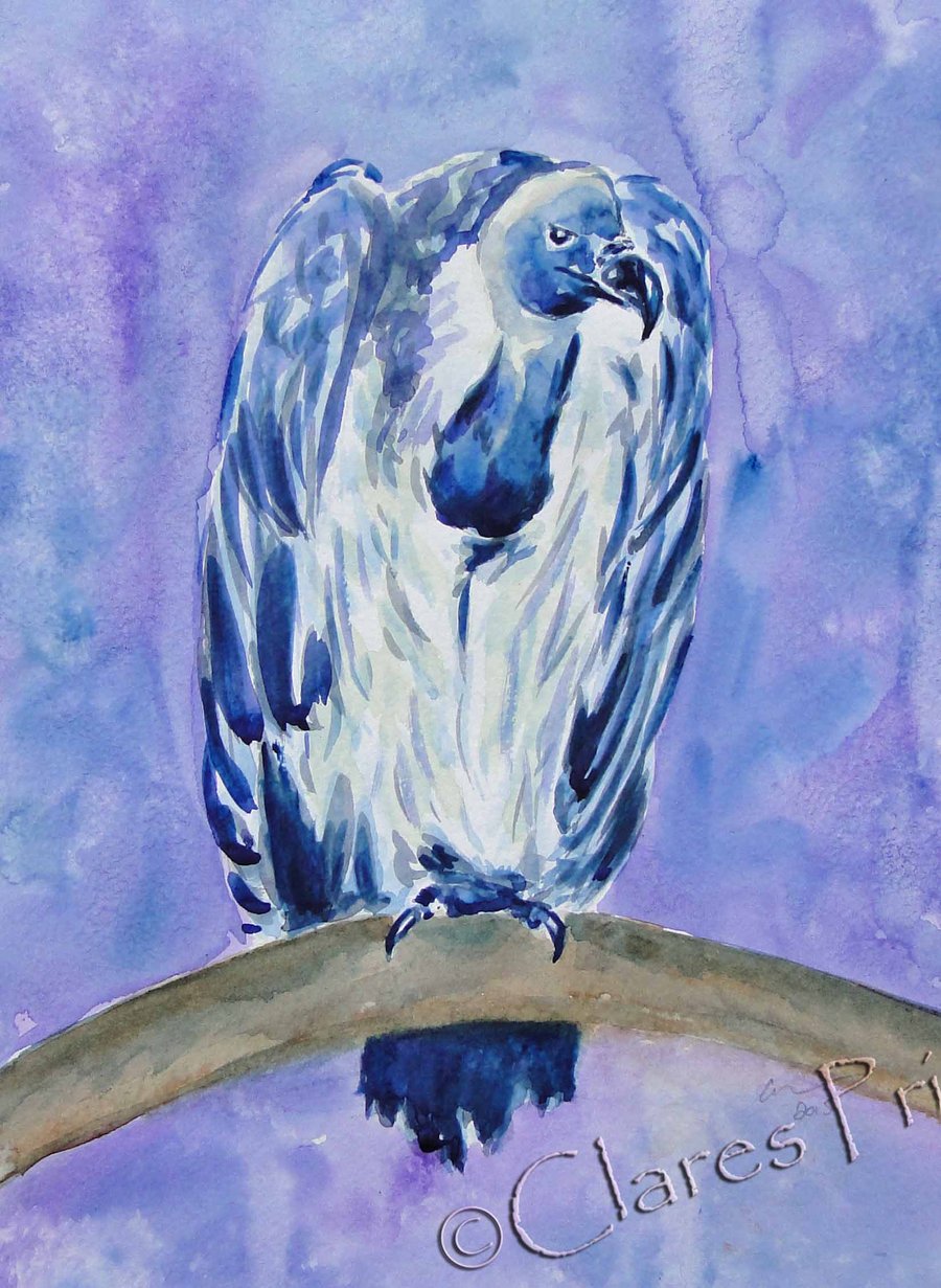 Vulture Original Bird Watercolour Art Painting OOAK