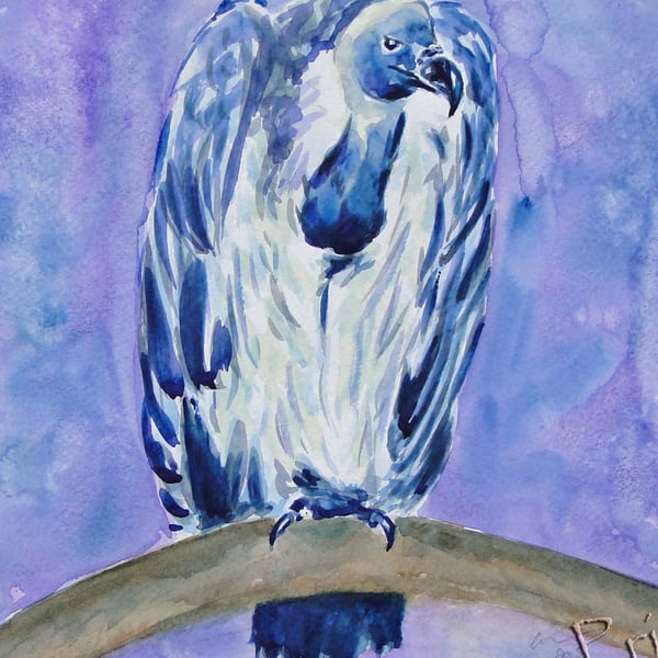 Vulture Original Bird Watercolour Art Painting OOAK