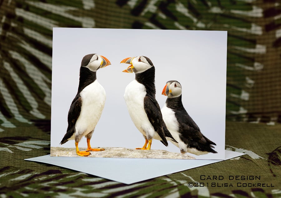 Exclusive Handmade Puffin Chat Greetings Card on Archive Photo Paper