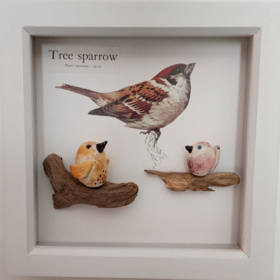 Framed ceramic birds - Tree Sparrow 