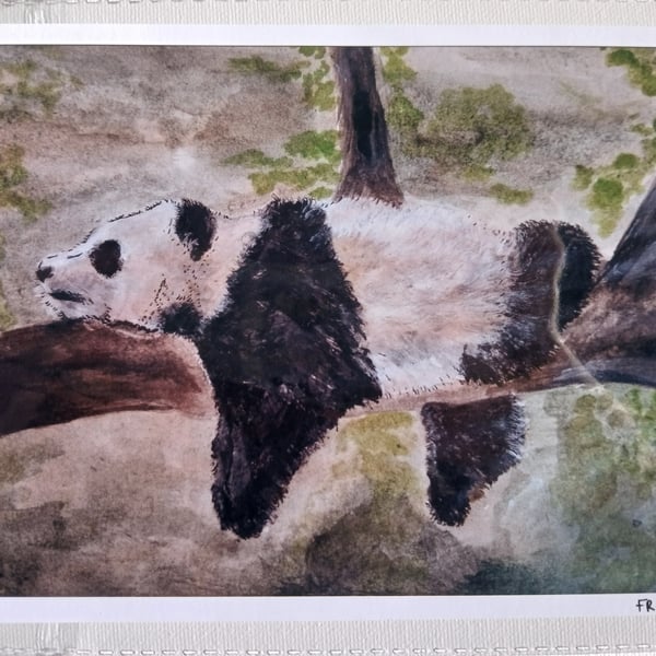 Resting Panda watercolour print