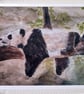 Resting Panda watercolour print