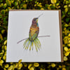 Bee -eater bird blank card (1)