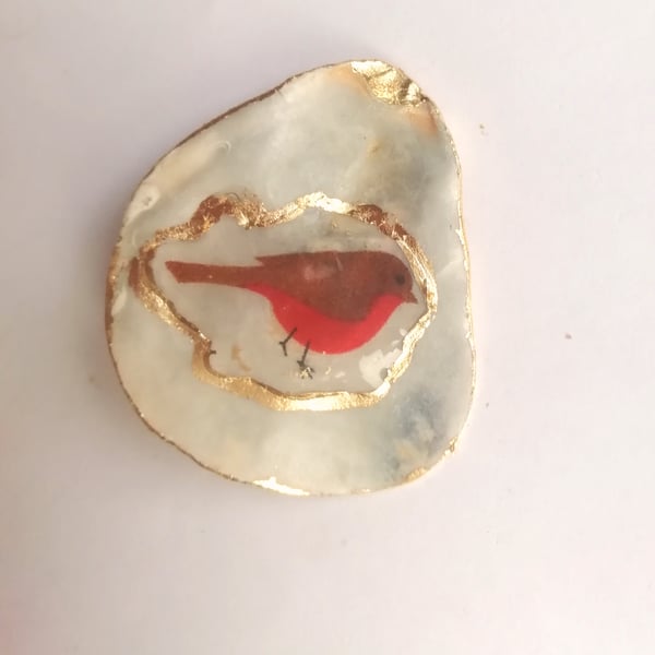 Shell Robin brooch