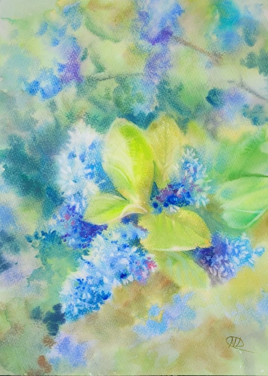 Original California Lilac Watercolor Painting - Blue Hand Pain Floral Art Signed