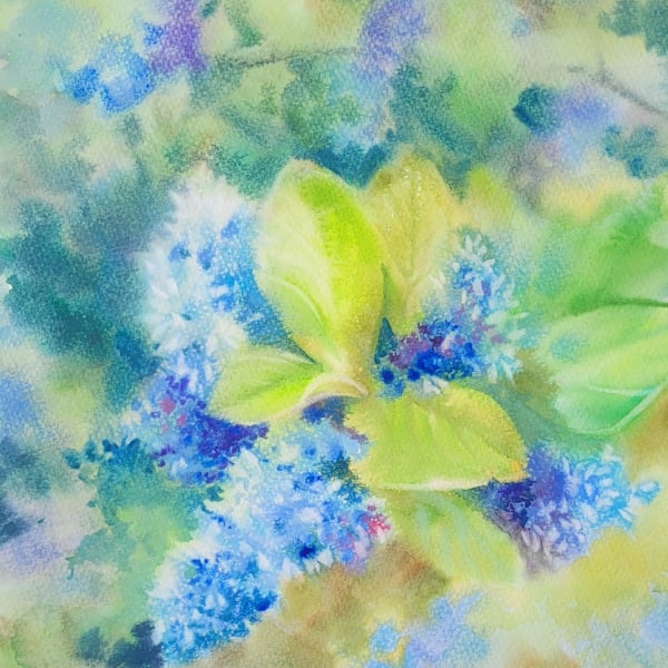 Original California Lilac Watercolor Painting - Blue Hand Pain Floral Art Signed