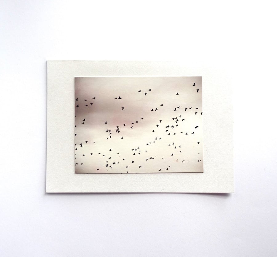 Winter Migration Card - READY TO SHIP