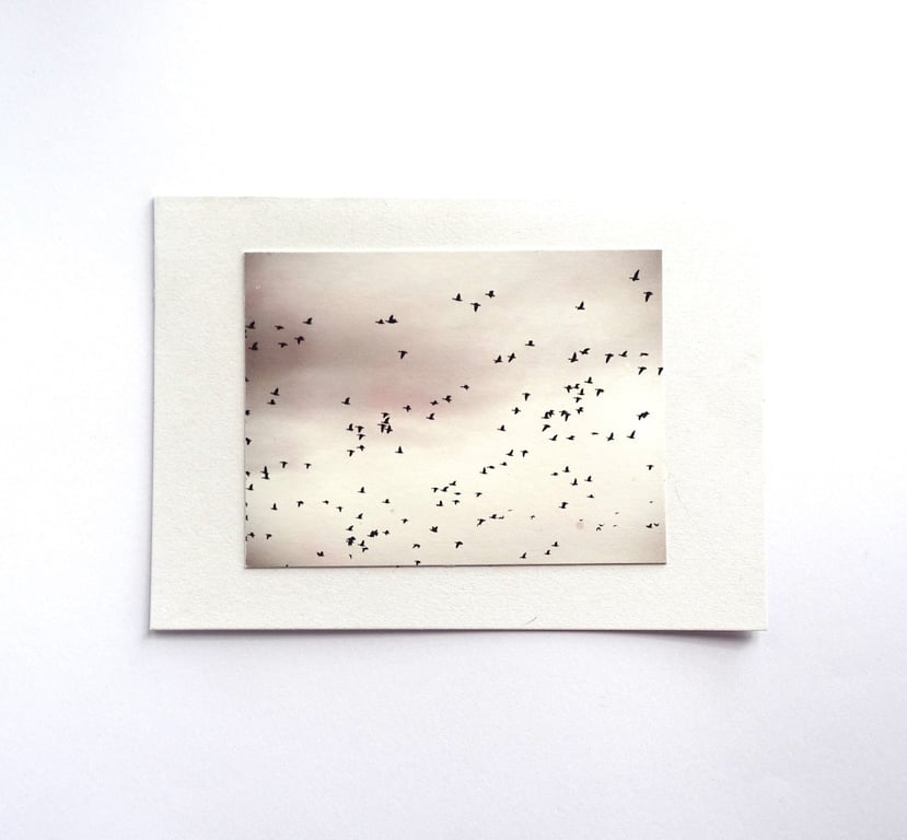 Winter Migration Card - READY TO SHIP