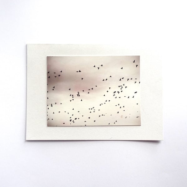 Winter Migration Card - READY TO SHIP