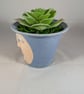 Blue Ceramic Small Container Artificial Succulent Plant Ornament Decoration. - Image 2