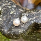      Pearl stud earrings sterling silver 