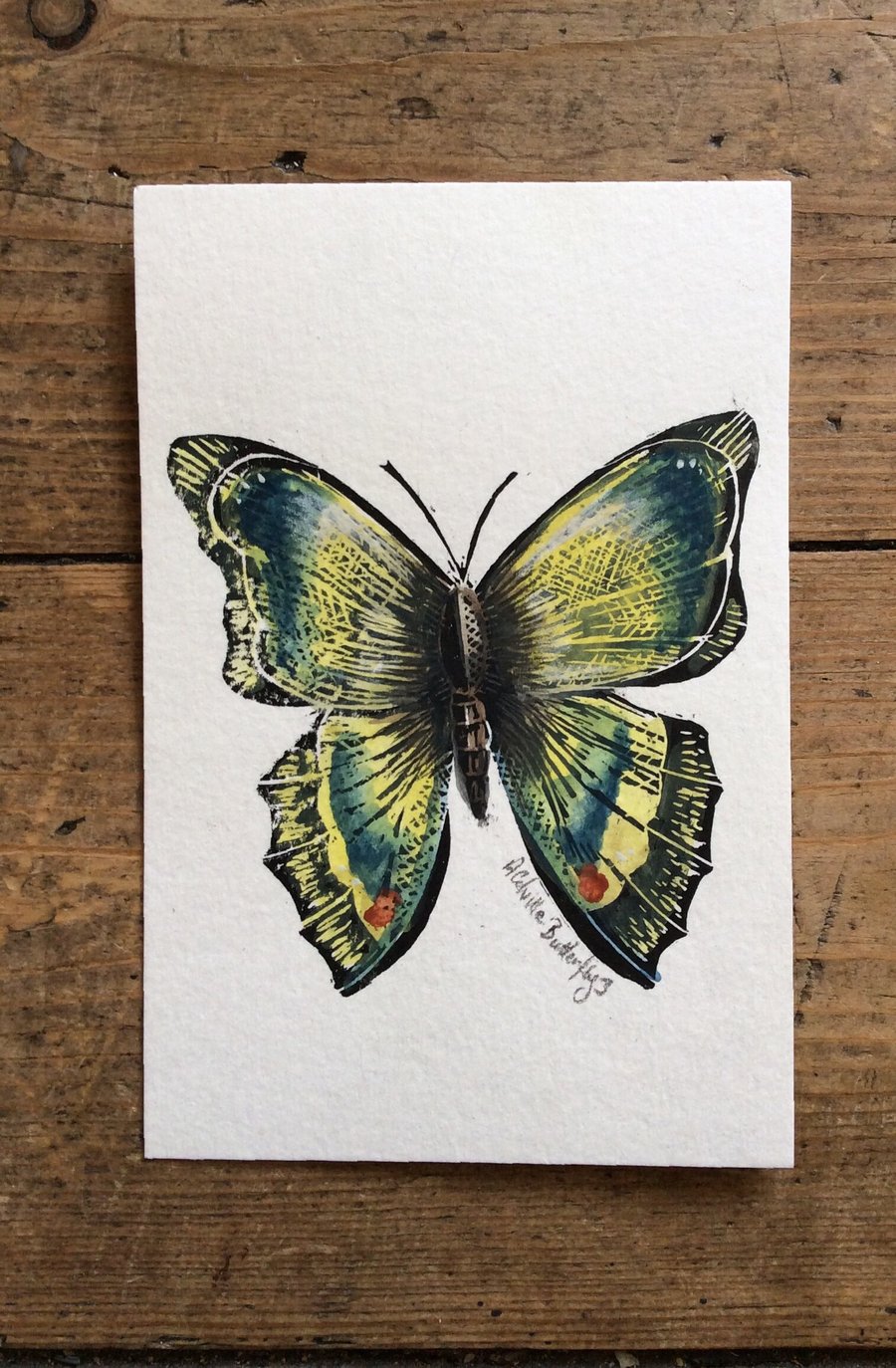 Butterfly hand painted watercolour and lino print Butterfly 3 
