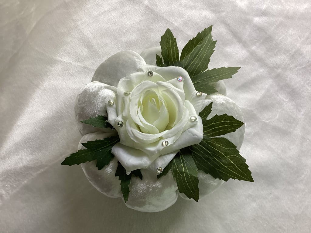 Pumpkin, rose pumpkin, velvet pumpkin