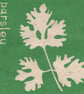 Parsley herb mini linocut print - Image 2
