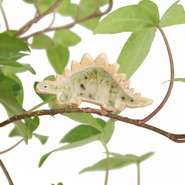 Stegosaurus Plant Decoration Gift Card Letterbox Gift