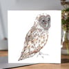Barn Owl Greeting card