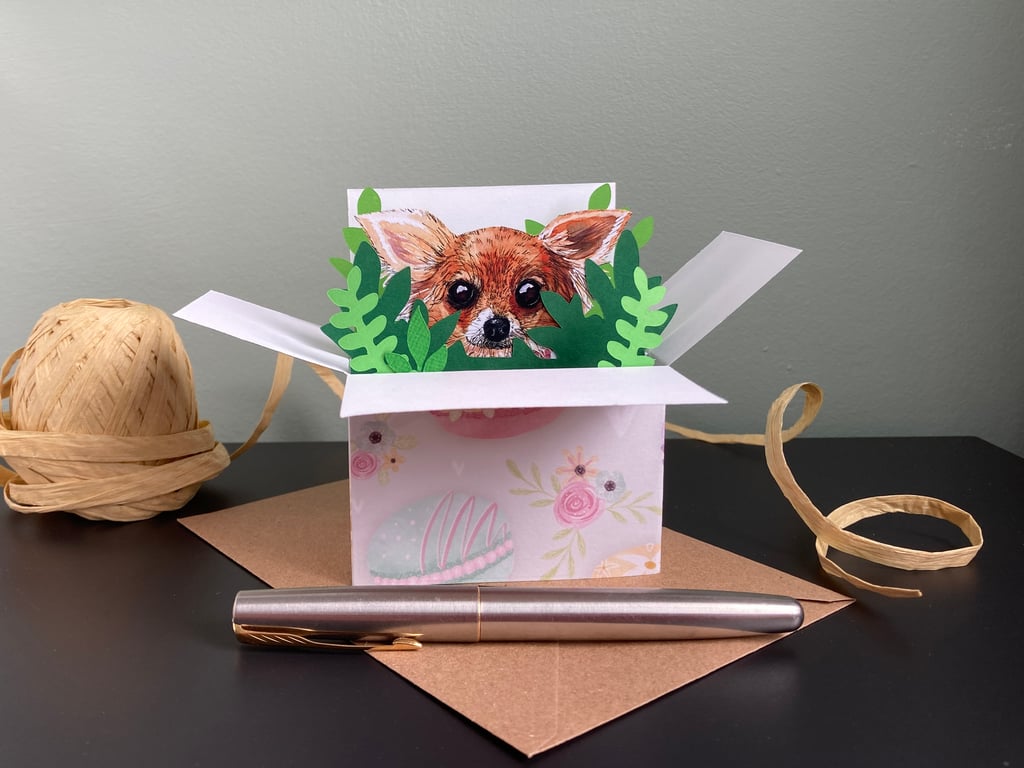 Chihuahua Birthday Card. Personalised or blank 3D chihuahua dog gift card holder