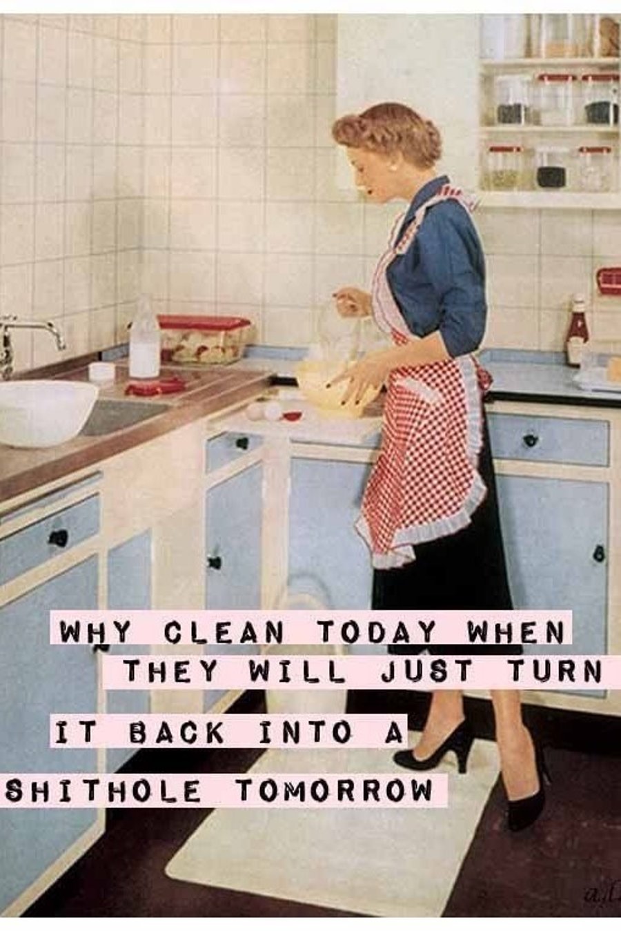 Why Clean Today?  Fridge Magnet