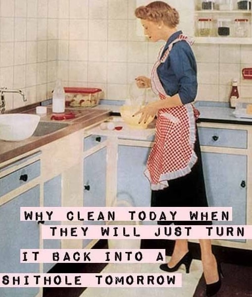 Why Clean Today?  Fridge Magnet