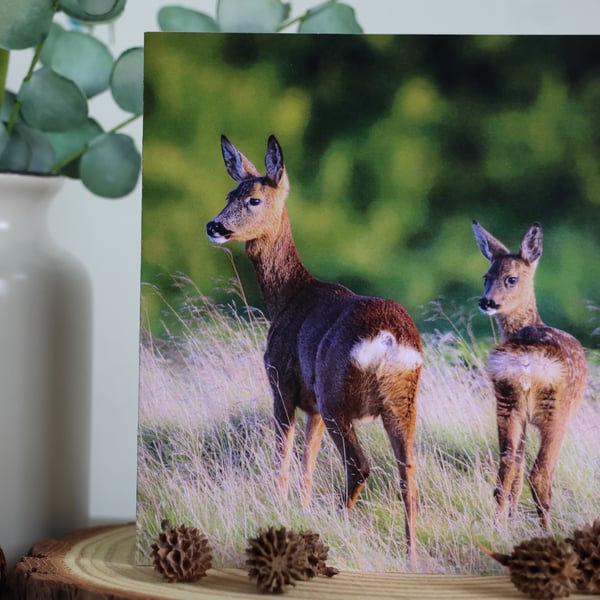 Mother and Fawn - Roe Deer - Blank Greetings Card