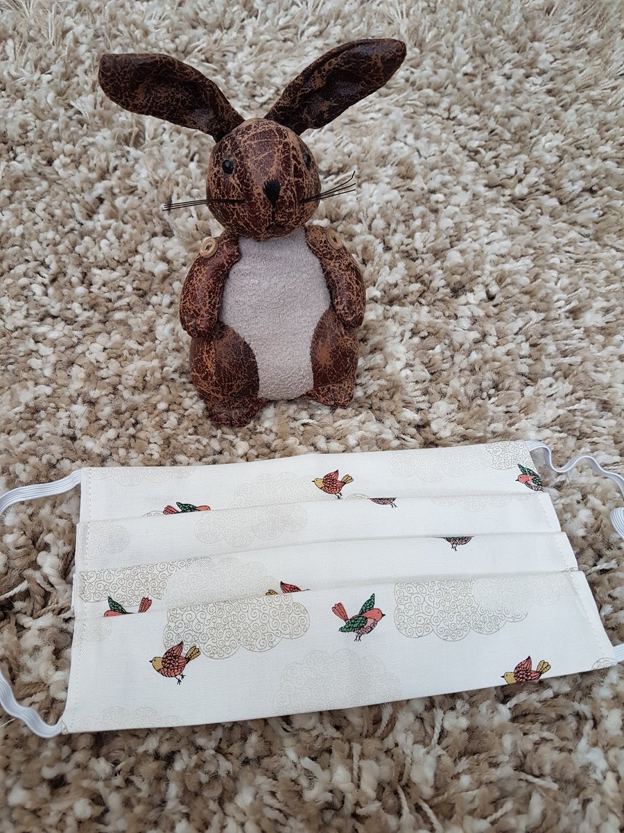 Adult face covering – Bird and cloud design