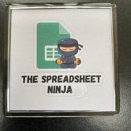 Spreadsheet Ninja Excel Lover decorative magnet for office workers