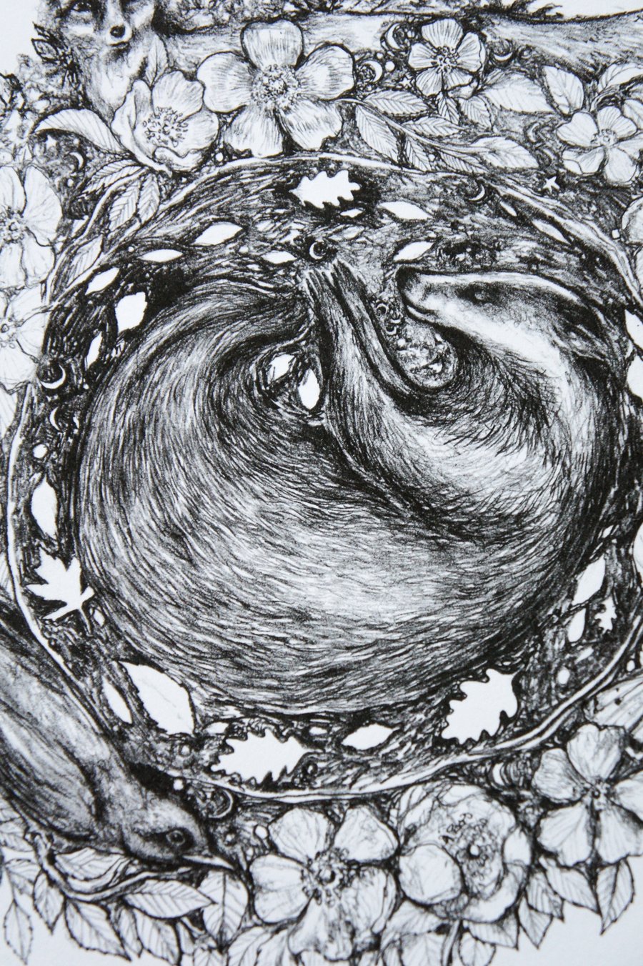 Wildlife Fine Art Print, Dreaming In The Earth