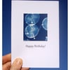 'Happy Birthday' Honesty Cyanotype Card (Free UK Postage)