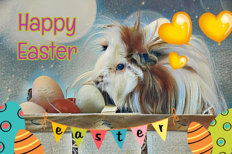 Happy Easter Guinea Pig Card A5 