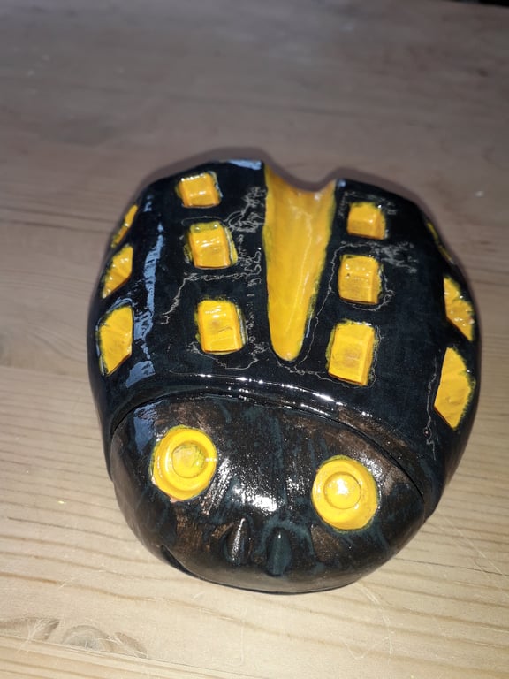 Ladybird Black & Yellow