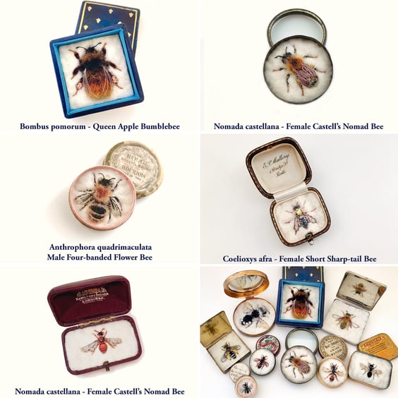 Postcard collection from the Fifty Bees exhibition